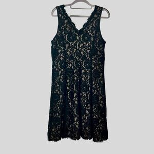 NWT Loft Elegant Black Lace Dress